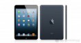 /products/ipad-mini-cellular-16gb/